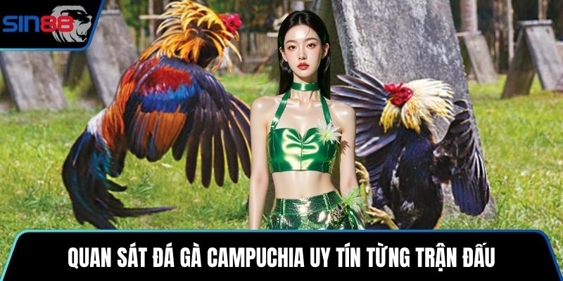 Quan sát đá gà Campuchia uy tín từng trận đấu