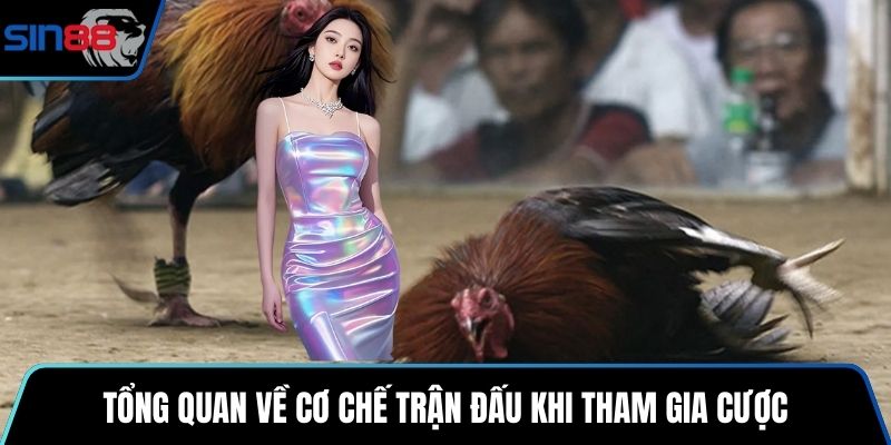 Tổng quan về cơ chế trận đấu khi tham gia cược