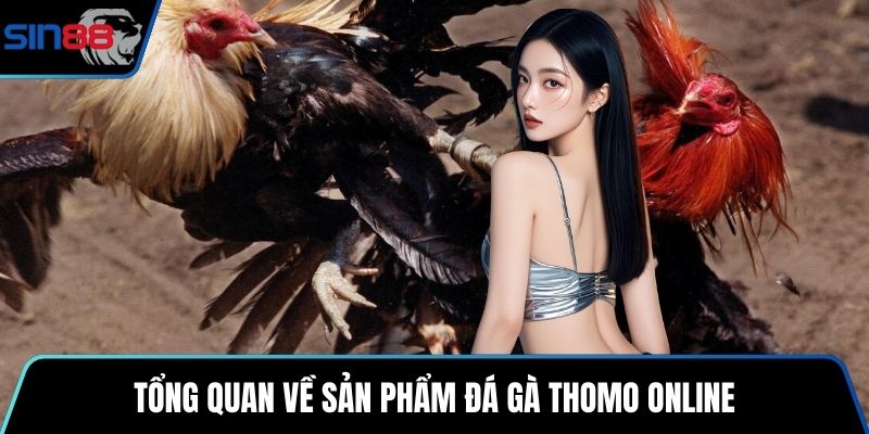 Tổng quan về sản phẩm đá gà Thomo Online